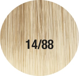 14 8 8  - Gardenia Gemtress hair design for women